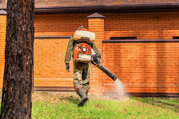 Trusted Termite Control service in Fearrington Village, NC - Nex Pest Control